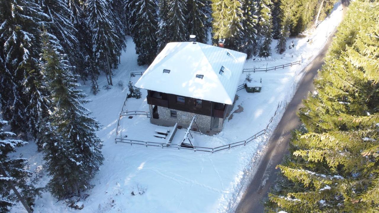 Apartments Villa Vesna Pokljuka Goreljek Luaran gambar