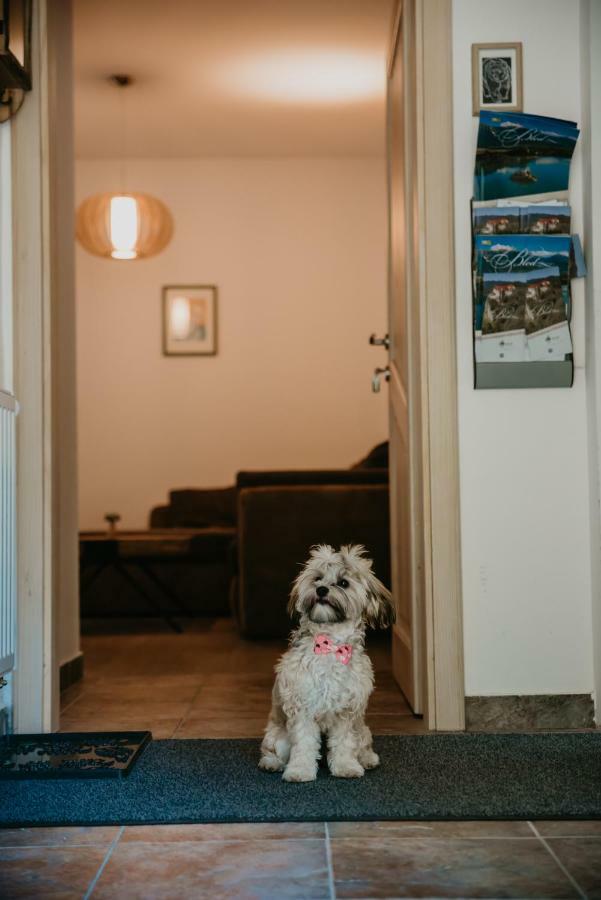 Apartments Villa Vesna Pokljuka Goreljek Luaran gambar
